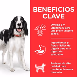 Hills 604221 cibo umido per cani Pollo, Manzo, Maiale Universale 370 g - Vista aggiuntiva 2