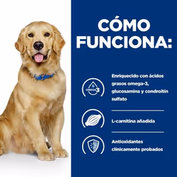 Hills 606275 cibo umido per cani Manzo Universale 12 kg - Vista aggiuntiva 4
