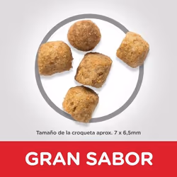 Hills 604108 cibo secco per gatti 300 g Pollo, Manzo