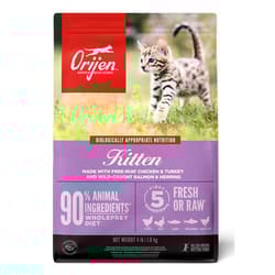 Orijen 0064992718862 cibo secco per gatti 1,8 kg Gattino Pesce, Trinciapollo