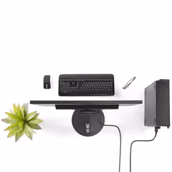 StarTech.com Cavo DisplayPort a DVI di 1,8 m - M/M - Vista aggiuntiva 4