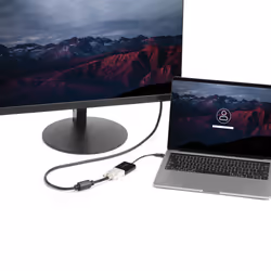 StarTech.com Adattatore USB-C a DVI - Convertitore video USB Type-C a DVI - Vista aggiuntiva 5
