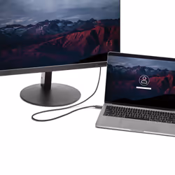 StarTech.com Cavo Convertitore Adattatore USB-C a DVI da 2m - 1920x1200 - Vista aggiuntiva 6