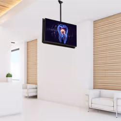 StarTech.com Supporto a Soffitto per due TV - Staffa per 2 Monitor con asta telescopica regolabile - Inclinazione/Rotazione/Orientamento - Staffa VESA per Schermi da 32 a 75" - Vista aggiuntiva 8