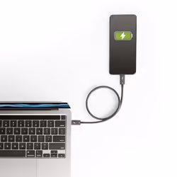 StarTech.com Cavo Thunderbolt 4 da 50cm - 40Gbps - PD 100W - Cavo Video/Trasferimento dati 4K/8K - Cavo Thunderbolt Certificato Intel Compatibile con USB4/Thunderbolt 3/USB 3.2/USB Tipo C/DisplayPort - Cavo USB C - Vista aggiuntiva 7
