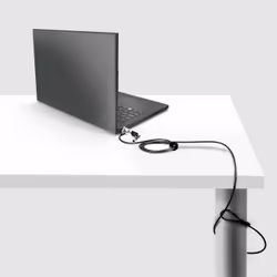 StarTech.com NBLWK-LAPTOP-LOCK cavo di sicurezza Nero, Argento 2 m - Vista aggiuntiva 7