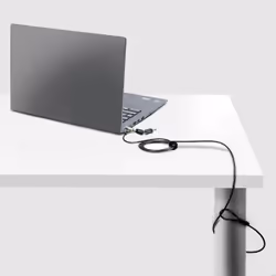 StarTech.com NANOK-LAPTOP-LOCK cavo di sicurezza Nero, Argento 2 m - Vista aggiuntiva 7