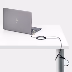 StarTech.com Cavo di Sicurezza Universale per Laptop da 2m, Dispositivo di Sicurezza per Notebook Compatibile con Noble Wedge&reg;/Nano/K-Slot, Blocco a Combinazione Senza Chiave, Acciaio Resistente al Taglio - Vista aggiuntiva 4