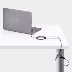 StarTech.com Cavi di Sicurezza per Notebook universali da 2m, cavo di sicurezza serializzato per notebook, compatibile con Nano/K-Slot, cavo a combinazione senza chiave, TAA - Vista aggiuntiva 7
