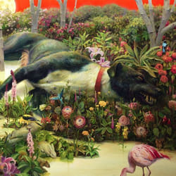 ImportCDs Feral Roots Vinile Pop rock