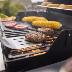 Weber Spirit E-210 Barbecue Carrello GPL 7800 W - Vista aggiuntiva 4