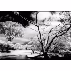 Cokin WP1R007 Filtro per lenti della macchina fotografica 8,4 cm