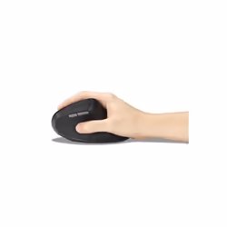 Kensington Pro Fit Ergo MY630 EQ mouse Ufficio Mano destra RF Wireless + Bluetooth + USB Type-A 2400 DPI - Vista aggiuntiva 8
