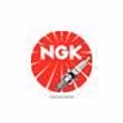NGK Spark spina DR 8 EIX