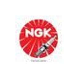 NGK Spark spina DR 8 EIX