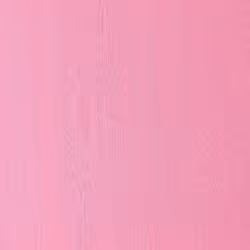 Winsor & Newton Winton 37 ml Tubo Rosa