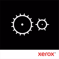 Xerox Kit rullo alimentazione carta (componente di lunga durata, di norma non richiesto), 1 pz