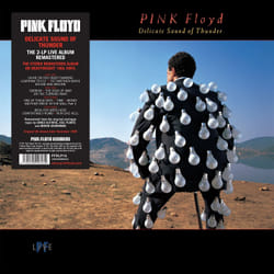 Warner Music Pink Floyd - Delicate Sound of Thunder, 2LP Vinile Rock
