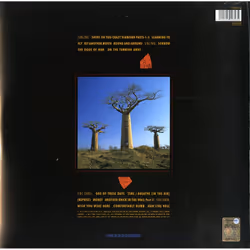 Warner Music Pink Floyd - Delicate Sound of Thunder, 2LP Vinile Rock