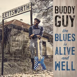 ImportCDs Blues Is Alive and Well, Americana, Vinile, Supporto fisico, Adulto, 2 dischi, 14/06/2018