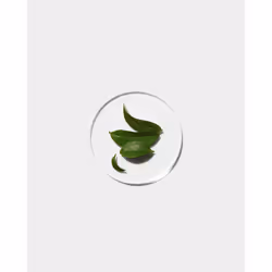 Clinique Even Better Clinical Radical Dark Spot Corrector + Interrupter, 50ml - Vista aggiuntiva 5
