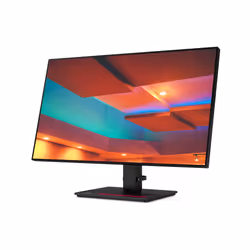 Lenovo ThinkVision P27h-20 27" Quad HD LED Nero - Vista aggiuntiva 8