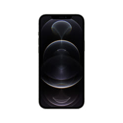 Apple iPhone 12 Pro Max 128 GB Grafite