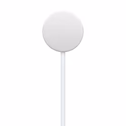 Apple Cavo magnetico USB‑C per la ricarica rapida di Watch (1 m)
