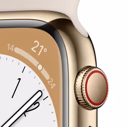 Apple Watch Series 8 GPS + Cellular 45mm Cassa in Acciaio Inossidabile color Oro con Cinturino Sport Band Galassia - Regular