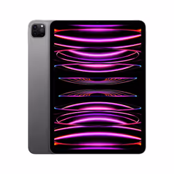 Apple iPad 11 Pro Wi-Fi 256GB - Grigio Siderale, 27,9 cm (11"), 2388 x 1668 Pixel, 256 GB, 8 GB, iPadOS 16, Grigio