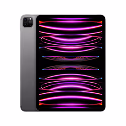 Apple iPad 11 Pro Wi-Fi + Cellular 2TB - Grigio Siderale, 27,9 cm (11"), 2388 x 1668 Pixel, 2 TB, 16 GB, iPadOS 16, Grigio