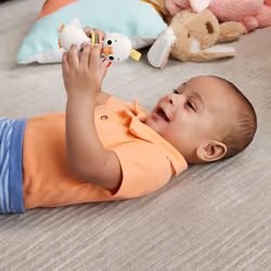 Fisher-Price HRB22 giocattolo educativo