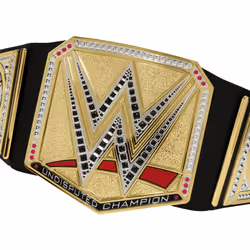 WWE HYJ35 accessorio per costume Cintura per costume Bambino Qualsiasi tipo