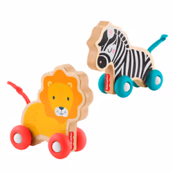 Fisher-Price JFN19, 6 mese(i), 4 ruota(e), Multicolore