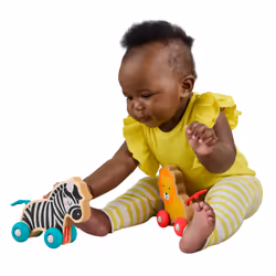 Fisher-Price JFN19 giocattolo trainabile