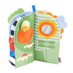 Fisher-Price JKP53 giocattolo educativo