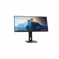 Lenovo ThinkVision E29w-20 LED display 29" UltraWide Full HD Nero