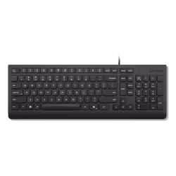 Lenovo 4Y41R64653, Full-size (100%), Cablato, USB, Plunger key switch, Nero