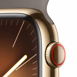Apple Watch Series 9 GPS + Cellular Cassa 45mm in Acciaio inossidabile Oro con Cinturino Sport Creta - S/M
