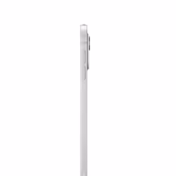 Apple iPad Pro 5G Apple M TD-LTE & FDD-LTE 256GB 11" 8GB Argento