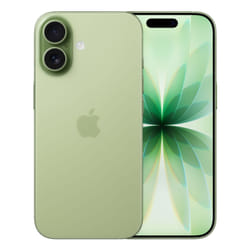 Apple iPhone 17 16 cm (6.3") Doppia SIM iOS 26 5G USB tipo-C 256 GB Salvia