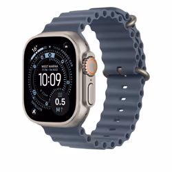 Apple Natural Titanium Finish Band Blu Fluoroelastomero, Titanio - Vista aggiuntiva 2