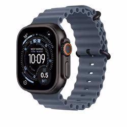 Apple Titanium Finish Band Blu Fluoroelastomero, Titanio - Vista aggiuntiva 2