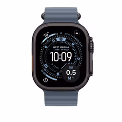 Apple Titanium Finish Band Blu Fluoroelastomero, Titanio - Vista aggiuntiva 3