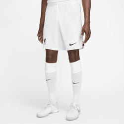 Nike DN2725-100