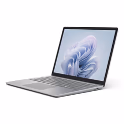 Microsoft Surface Laptop 6 Intel Core Ultra 5 135H 13.5" Touch 16 GB LP256 GB SSD Win11 Pro Platino - Vista aggiuntiva 2