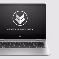 HP Pro x360 435 13.3 inch G10 Notebook PC - Vista aggiuntiva 5