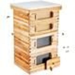 Alveare per Apicoltura, 40 Telaini, Legno di Cedro Rivestito con Cera deApi, 2 Scatole Profonde 2 Medie, Kit Arnia Langstroth, Finestre in Acrilico