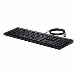 HP 125 Wired Keyboard (Bulk) tastiera Ufficio USB Nero - Vista aggiuntiva 3