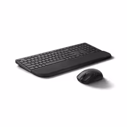 HP MultiDvcDuMdMSEKBCombowPR585C EMEA-INT tastiera Mouse incluso Nero - Vista aggiuntiva 6